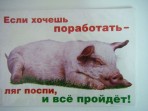 Наклейка Если хочешь поработать — ляг поспи, и все пройдет!